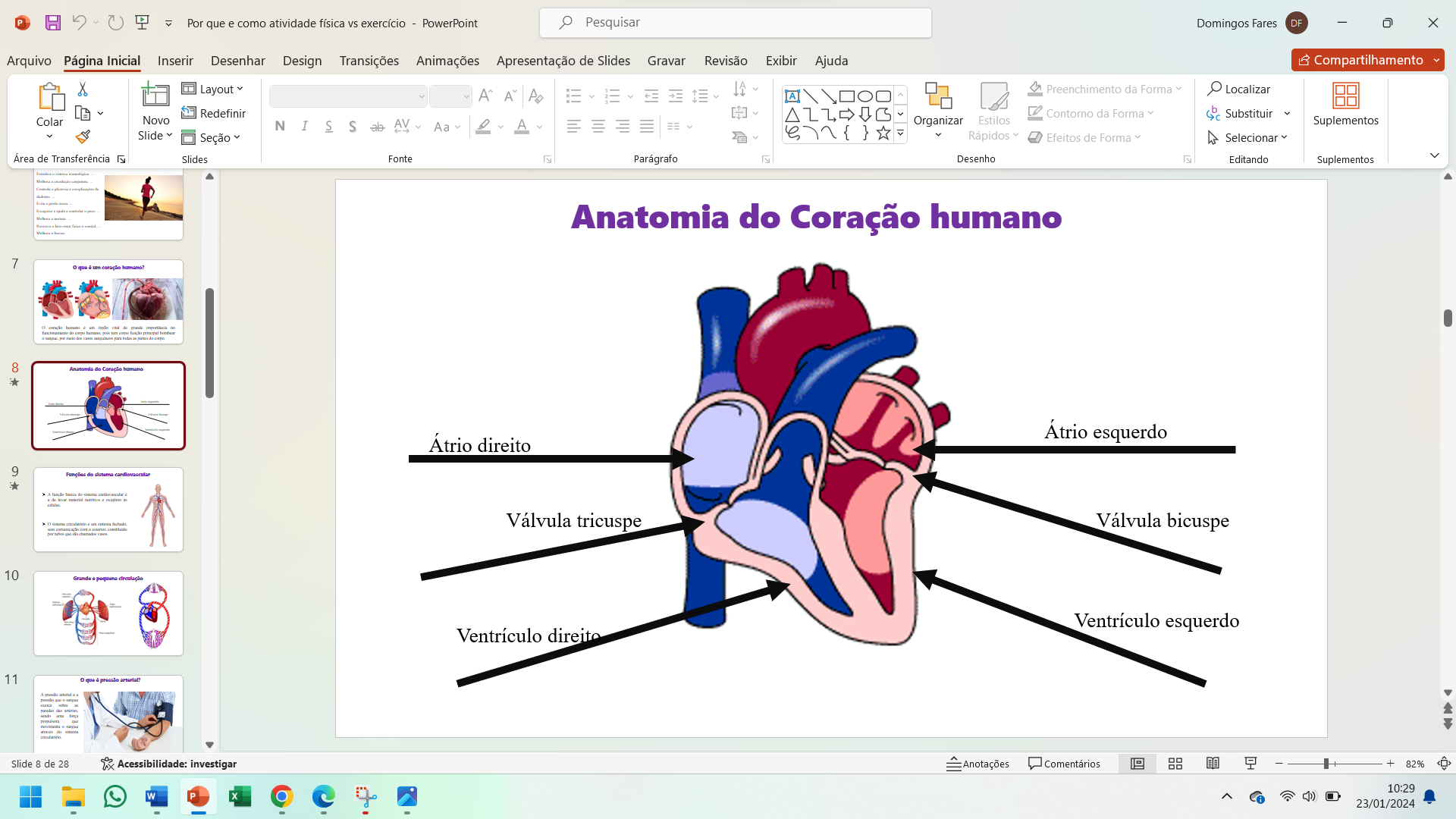 Captura de tela 2024-01-23 102929