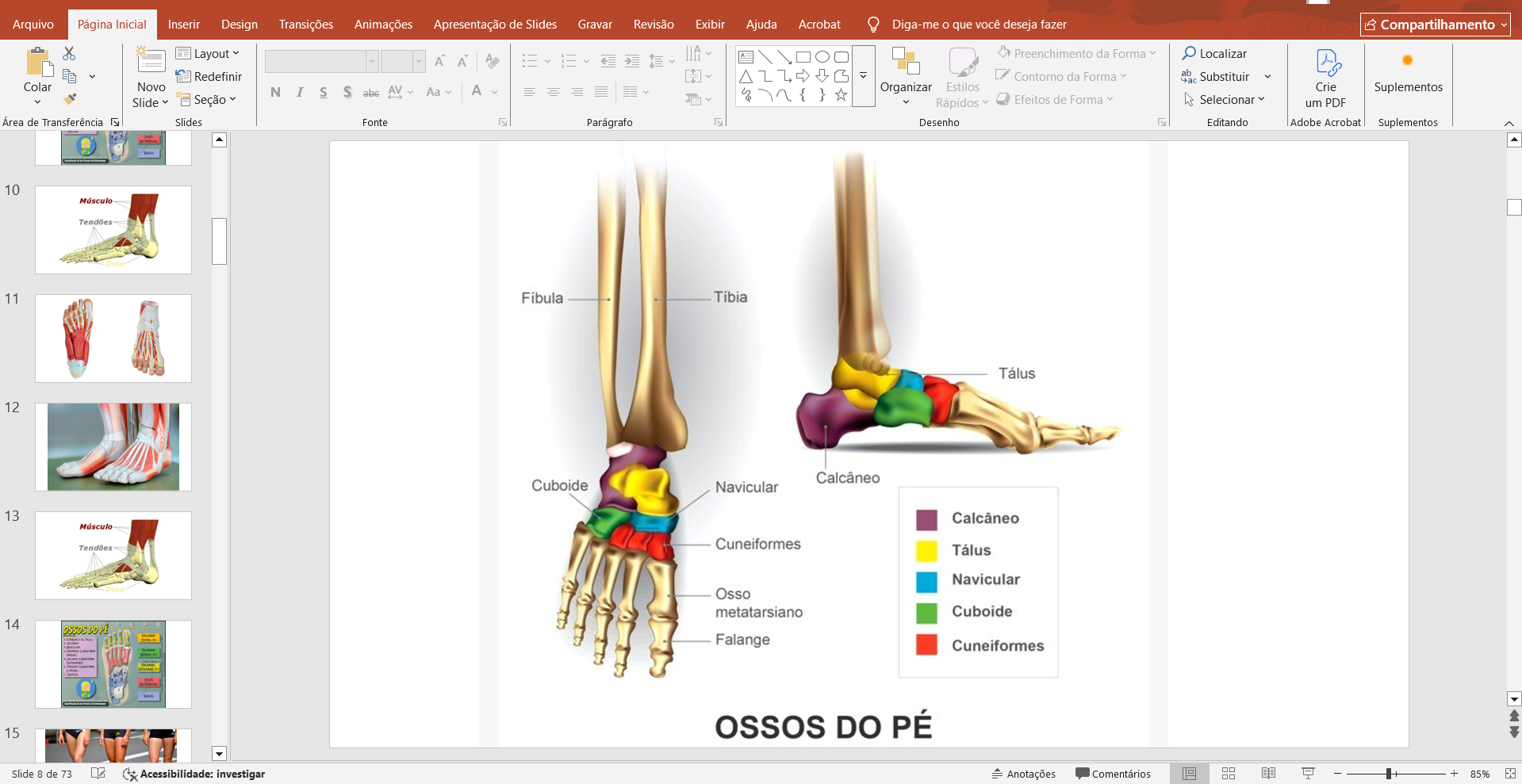 Captura de tela 2025-05-18 101837